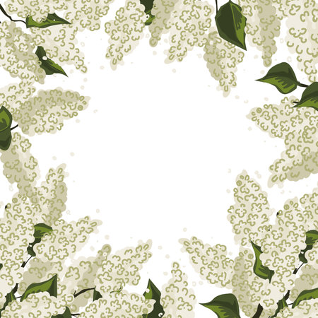 Fresh white lilac flowers frame. Lilacs brunches border. Vector isolated illustration.のイラスト素材