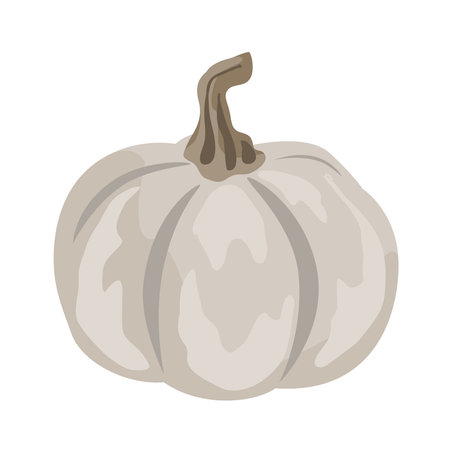 Cute small decorative pumpkin illustration isolated on white. Vector drawing.のイラスト素材