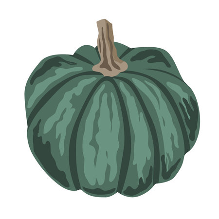Cute small decorative pumpkin illustration isolated on white. Vector drawing.のイラスト素材