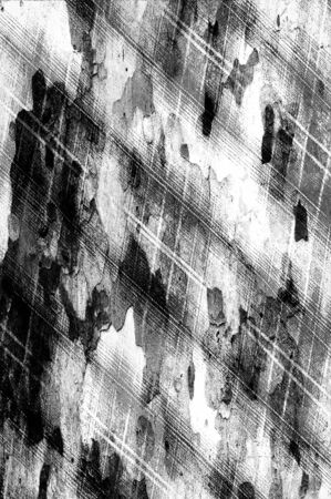 old grunge background with patternの写真素材