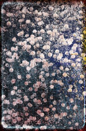 texture or background wall of shabby paint and plaster cracks