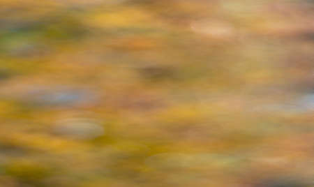 old background with texture