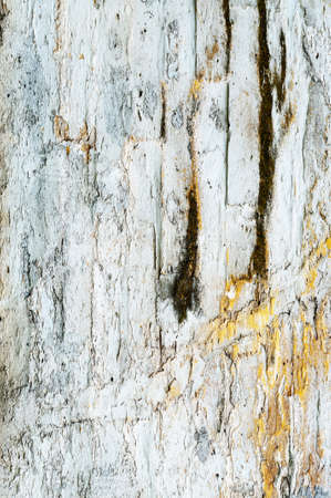 texture of shabby paint and plaster cracks backgroundの写真素材