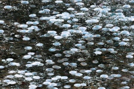 weathered wall background