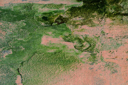 texture of a green wall from mold and mossの写真素材