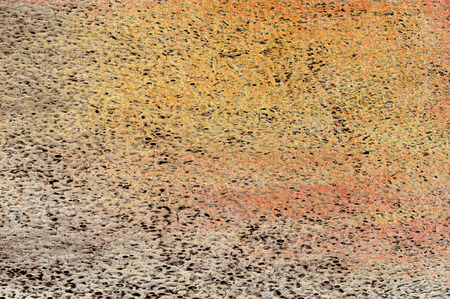 texture or background wall of shabby paint and plaster cracksの写真素材