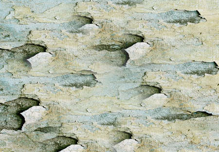 texture of shabby paint and plaster cracks
