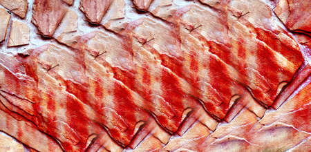 texture or background wall of shabby paint and plaster cracksの写真素材