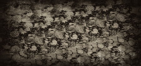 vignette dark grunge backgroundの写真素材