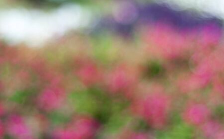 Abstract painted grunge backgroundの写真素材