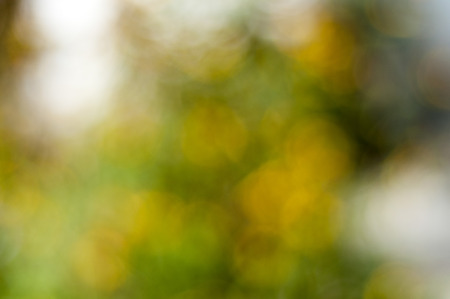 wall background with patternの写真素材