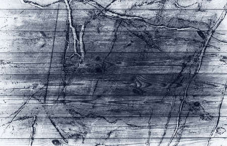 black grunge wallの写真素材