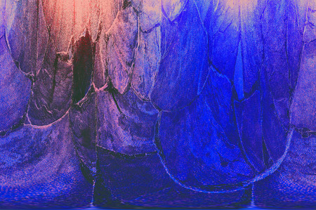 Old color grunge vintage weathered background abstract antique texture with retro patternの写真素材