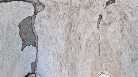 Old color grunge vintage weathered background abstract antique texture with retro pattern. 16:9 aspect ratioの写真素材