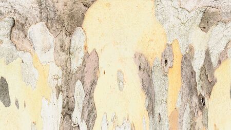 Old color grunge vintage weathered background abstract antique texture with retro pattern.