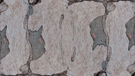 Modern futuristic painted wall for backdrop or wallpaper with copy space. Close up image