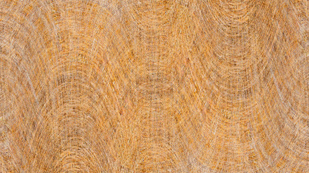 Modern futuristic painted wall for backdrop or wallpaper with copy space. Close up image