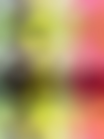 Blur Abstract Background. Colorful Gradient Defocused Backdrop. Simple Trendy Design Element For You Project, Banner, Wallpaper. Beautiful De-focused Soft Blurred Imageの写真素材
