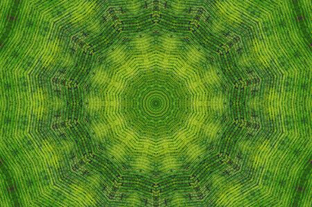 Abstract Colorful Painted Kaleidoscopic Graphic Background. Futuristic Psychedelic Hypnotic Backdrop Pattern With Texture. Folk Ethnic Floral Ornamental Mandala. Vintage Decorative Geometric Mosaicの写真素材