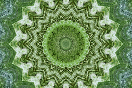 Abstract Colorful Painted Kaleidoscopic Graphic Background. Futuristic Psychedelic Hypnotic Backdrop Pattern With Texture. Folk Ethnic Floral Ornamental Mandala. Vintage Decorative Geometric Mosaicの写真素材