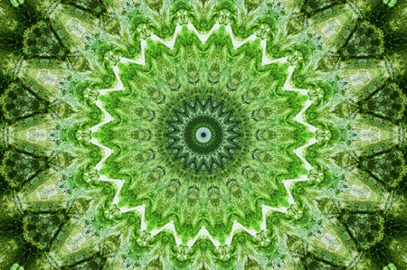 Abstract Colorful Painted Kaleidoscopic Graphic Background. Futuristic Psychedelic Hypnotic Backdrop Pattern With Texture. Folk Ethnic Floral Ornamental Mandala. Vintage Decorative Geometric Mosaicの写真素材