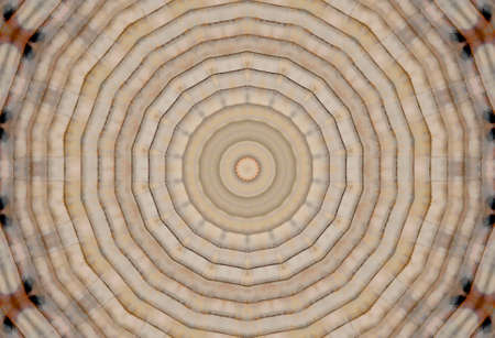 Abstract Colorful Painted Kaleidoscopic Graphic Background. Futuristic Psychedelic Hypnotic Backdrop Pattern With Texture. Folk Ethnic Floral Ornamental Mandala. Vintage Decorative Geometric Mosaicの写真素材