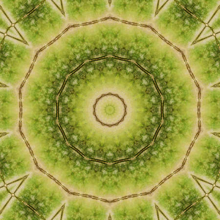 Abstract Colorful Painted Kaleidoscopic Graphic Background. Futuristic Psychedelic Hypnotic Backdrop Pattern With Texture. Folk Ethnic Floral Ornamental Mandala. Vintage Decorative Geometric Mosaicの写真素材
