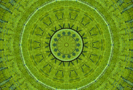 Abstract Colorful Painted Kaleidoscopic Graphic Background. Futuristic Psychedelic Hypnotic Backdrop Pattern With Texture. Folk Ethnic Floral Ornamental Mandala. Vintage Decorative Geometric Mosaicの写真素材