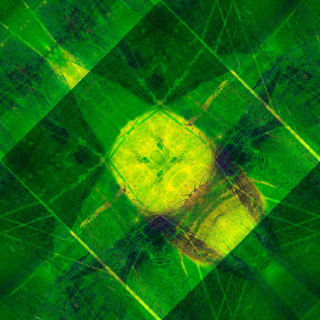 Grunge splatter paint colorful background. Modern futuristic painted wall for backdrop or wallpaper with copy space. Close up imageの写真素材