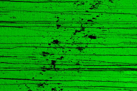 Green Black White Aged Grunge Wall Background. Old Weathered Peeled Painted Plaster Backdrop. Abstract Antique Cracked Stain Texture Background. Damaged Retro Stucco Scratched Patternの写真素材