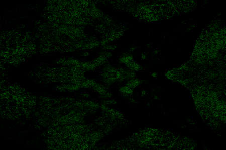 Green Black White Aged Grunge Wall Background. Old Weathered Peeled Painted Plaster Backdrop. Abstract Antique Cracked Stain Texture Background. Damaged Retro Stucco Scratched Patternの写真素材