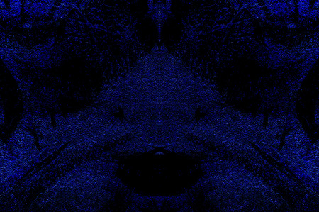 Blue Black White Aged Grunge Wall Background. Navy Old Weathered Peeled Painted Plaster Backdrop. Abstract Antique Cracked Stain Texture Background. Damaged Retro Stucco Scratched Patternの写真素材