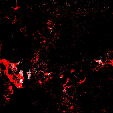 Red Black White Aged Grunge Wall Background. Old Weathered Peeled Painted Plaster Backdrop. Reddish Abstract Antique Cracked Stain Texture Background. Damaged Retro Stucco Scratched Patternの写真素材