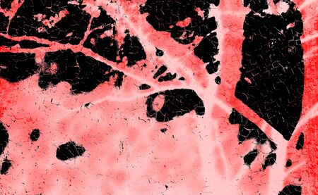 Red Black White Aged Grunge Wall Background. Old Weathered Peeled Painted Plaster Backdrop. Reddish Abstract Antique Cracked Stain Texture Background. Damaged Retro Stucco Scratched Patternの写真素材