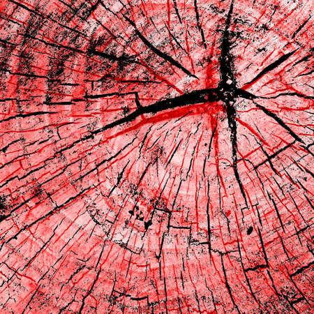 Red Black White Aged Grunge Wall Background. Old Weathered Peeled Painted Plaster Backdrop. Reddish Abstract Antique Cracked Stain Texture Background. Damaged Retro Stucco Scratched Patternの写真素材