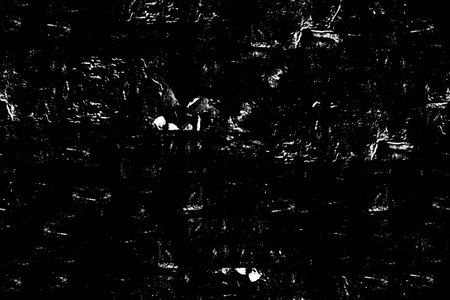 Abstract background. Monochrome texture. Image includes a effect the black and white tones.の写真素材