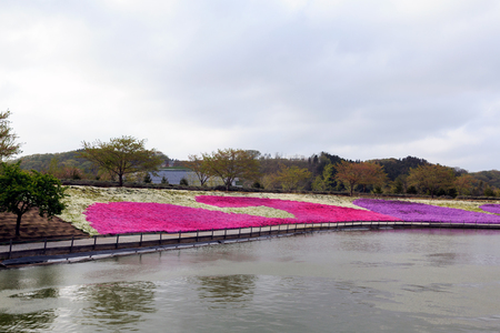 beauty in natureのeditorial素材