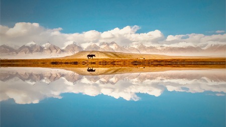Xinjiang Muji River and snow mountain view