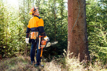 Professional lumberjack with protective workwear and chainsaw working in a forest