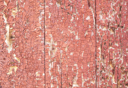 the natural series of old wooden backgroundの写真素材