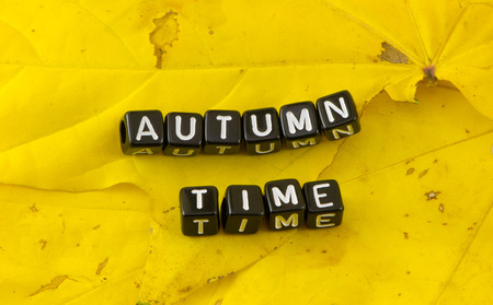 Autumn time in the form of a compositionの写真素材