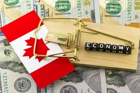 Economic debt in Canadaの写真素材