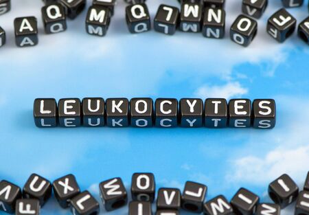 The word leukocytes on the sky backgroundの写真素材