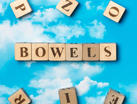 The word bowels on the sky backgroundの写真素材