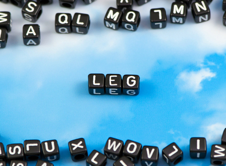 The word leg on the sky backgroundの写真素材
