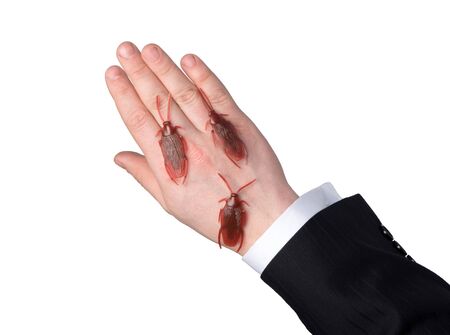 Cockroaches on the handの写真素材