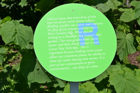 Message to Brooklyn Bay Center rain gardenの写真素材