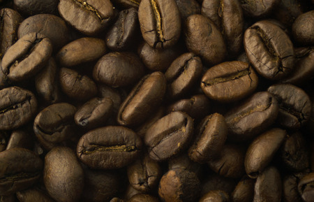 Coffee grains in dark shadows