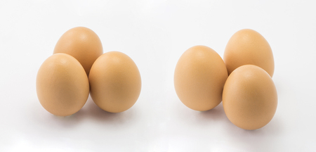 Eggs on a white backgroundの写真素材