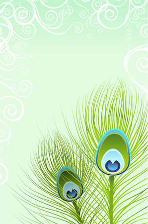 Feather close up design vector illustration.のイラスト素材
